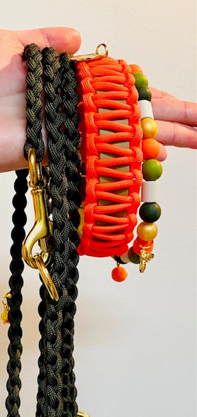 Neon Orange Classic collar