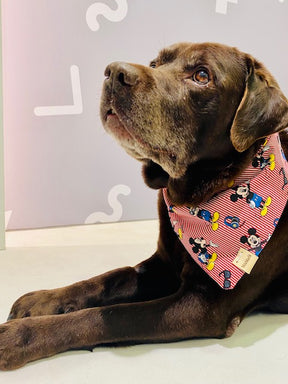 Mickey bandana