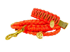 Neon Orange Classic collar