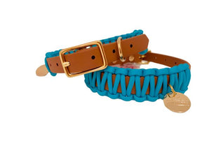 Turquoise Classic collar