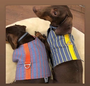 Porto Harness