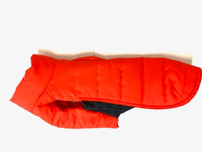 Doudou Pumpkin