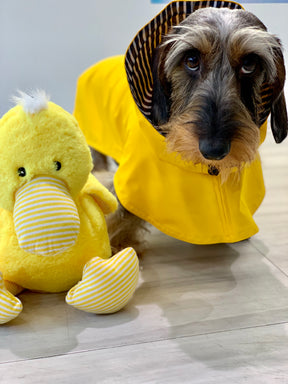 Raincoat yellow