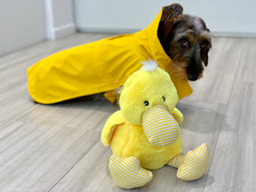 Raincoat yellow