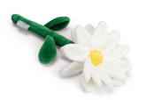 Sweet Daisy