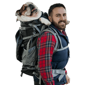 Rover 2 - Big Dog & Backpack