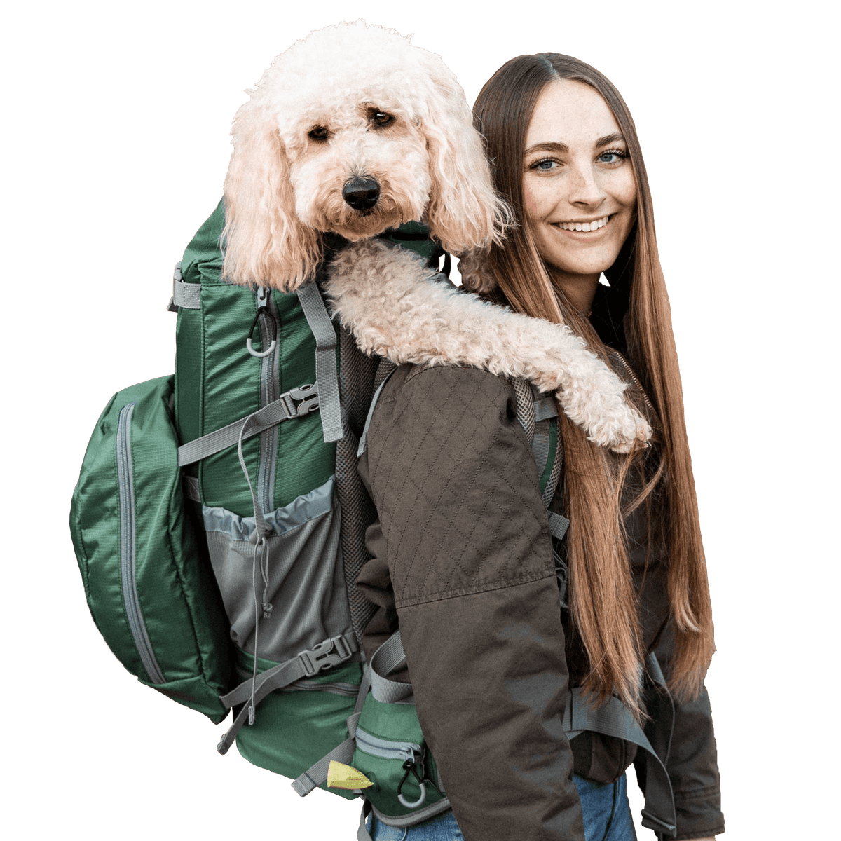 Rover 2 - Big Dog & Backpacko