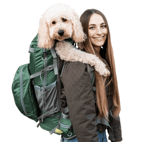 Rover 2 - Big Dog & Backpack