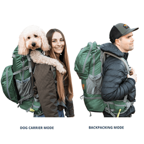 Rover 2 - Big Dog & Backpack