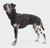 Dog RainCoat Dublin Slate