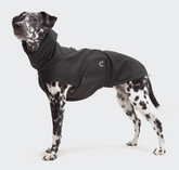 Dog Raincoat Dublin Slate