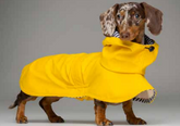 Imperméable jaune