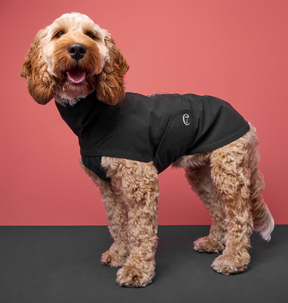 Dog RainCoat Dublin Slate