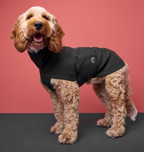 Dog Raincoat Dublin Slate
