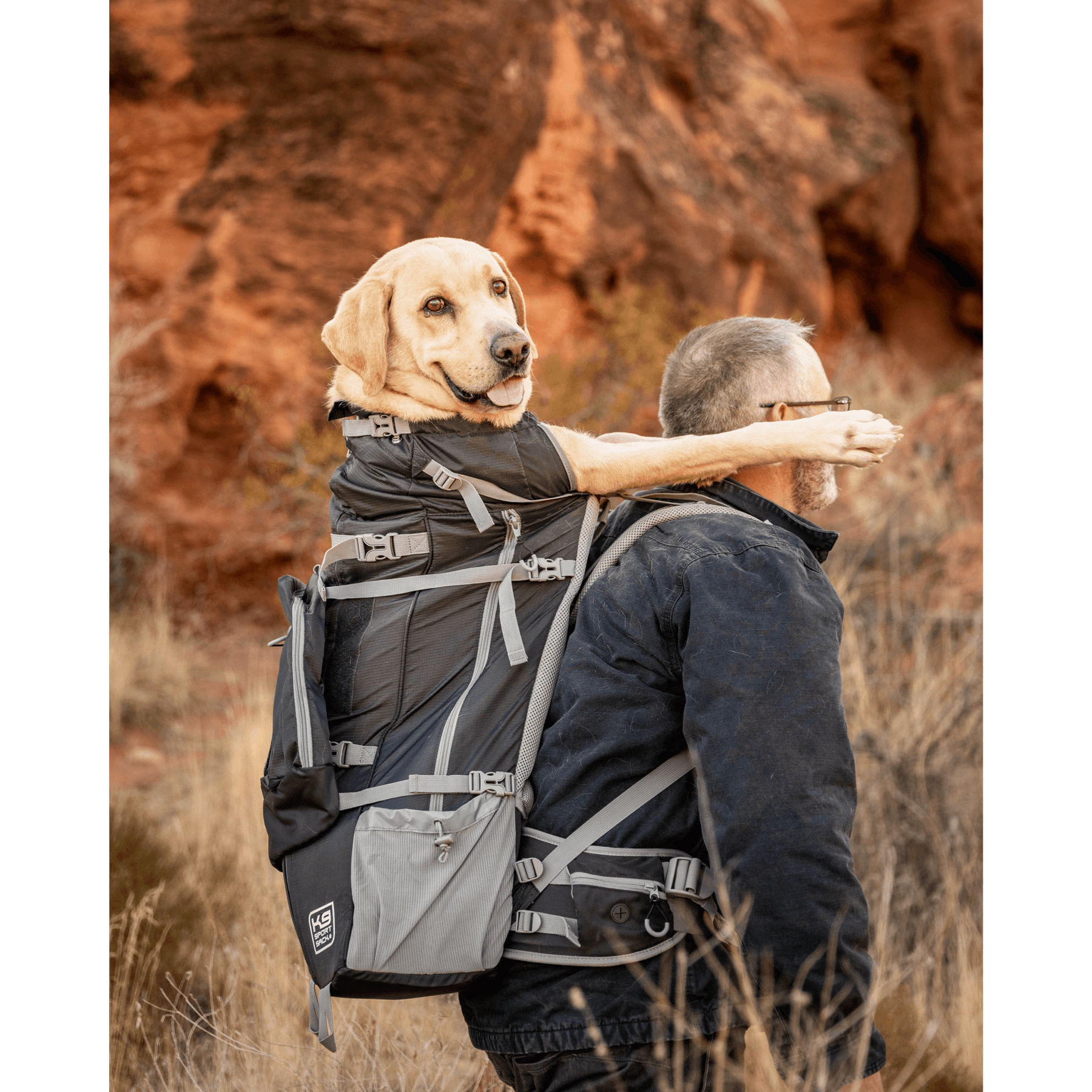 Rover 2 - Big Dog & Backpack