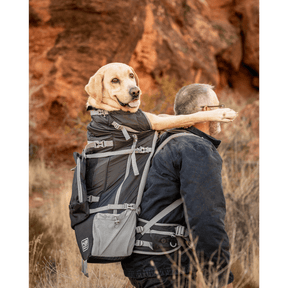 Rover 2 - Big Dog & Backpack