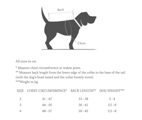 Tartan - a Dachshund special