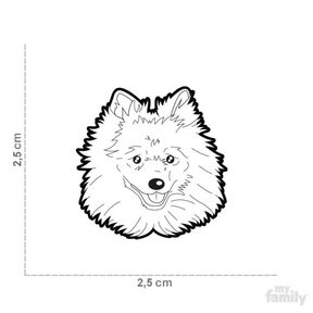 Keeshond