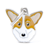 Waliser corgi