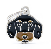 Rough hair Dachshund Black & Tan