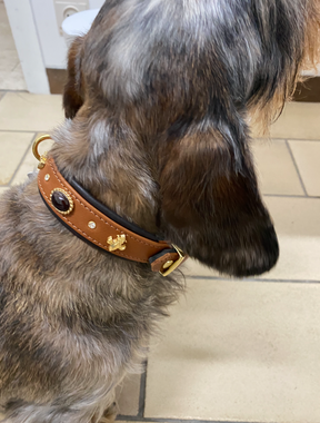 Scotland halsband