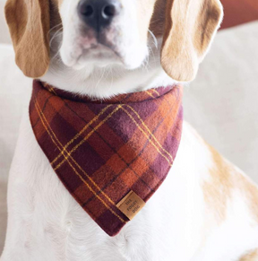 Cider plaid flannel bandana