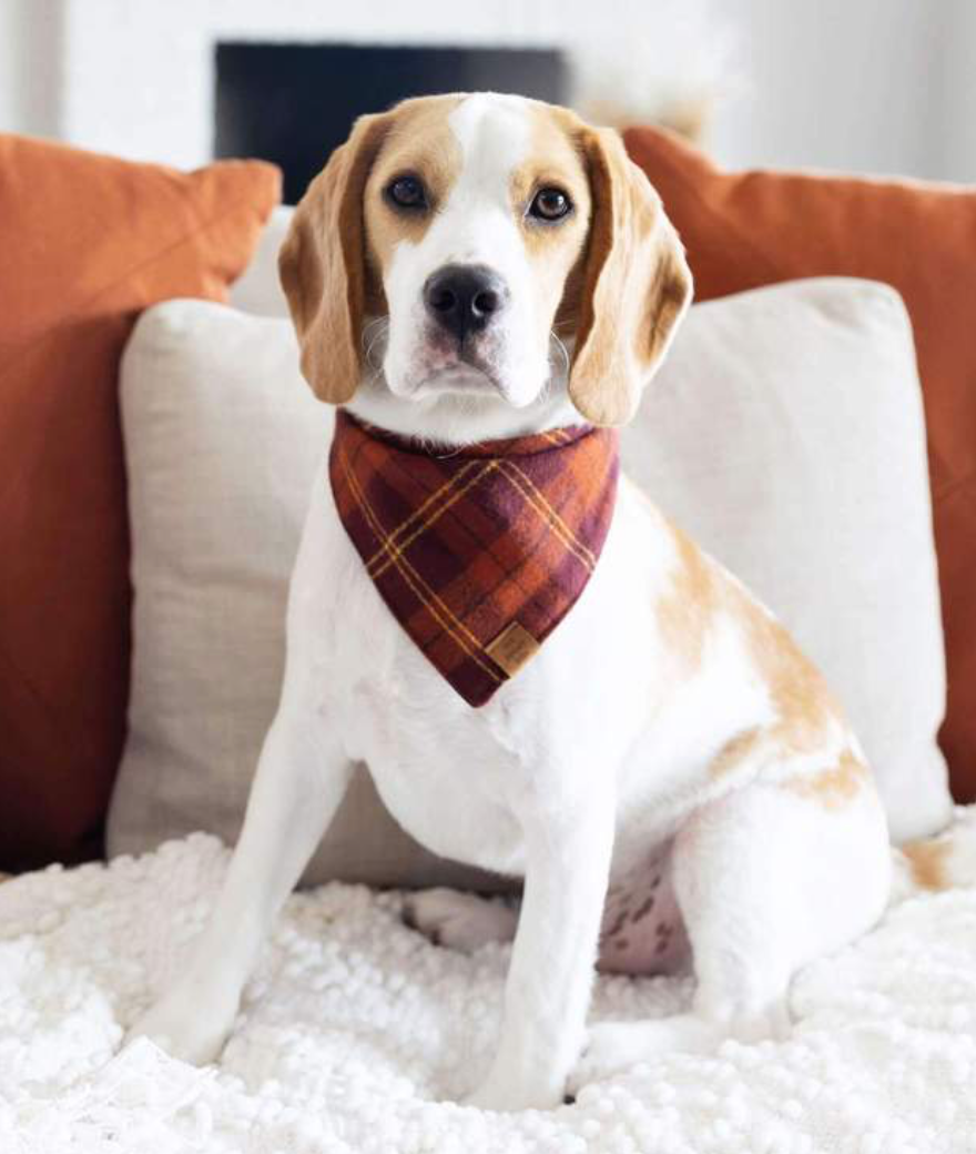 Cider plaid flannel bandana