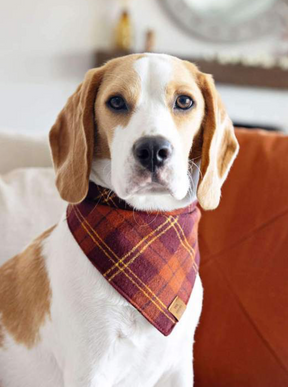 Cider plaid flannel bandana