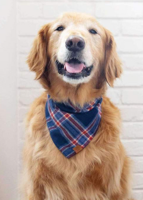 Jackson Plaid Flanell Bandana