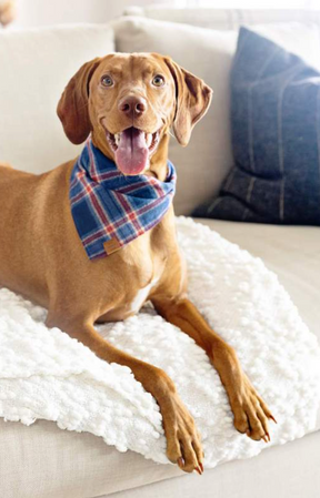Jackson Plaid Flanell Bandana