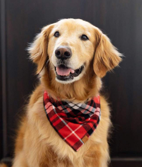 Bandana di flanella a plaid Miller
