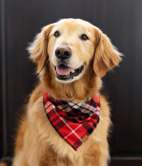 Miller Plaid Flannel Bandana