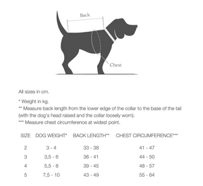 Flannel Beige - a Dachshund special