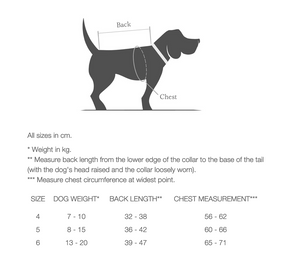 Flannel Beige - French Bulldog special