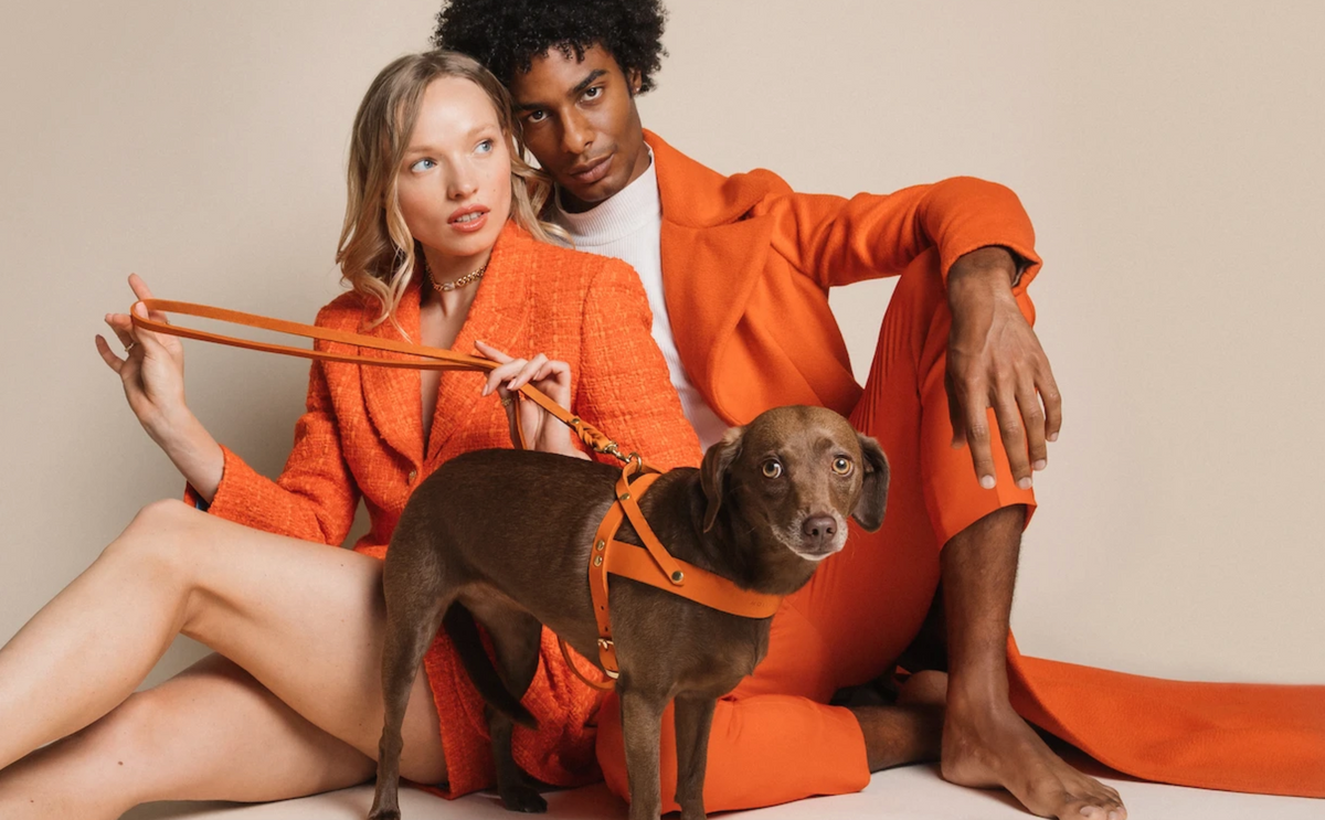 Tangerine customizable leash