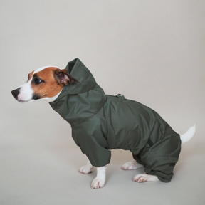Jumpsuitony - Whippet / Italian