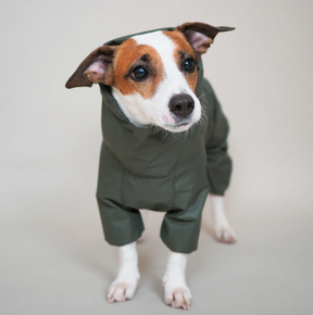 Jumpsuitony - Whippet / Italian