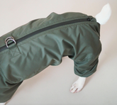 Jumpsuitony - French Bulldog