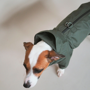 Jumpsuitony - Whippet / Italian