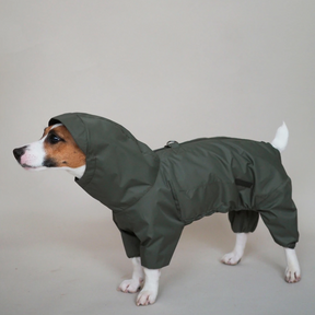 Jumpsuitony - Whippet / Italian