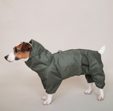 Jumpsuitony - Whippet / Italian