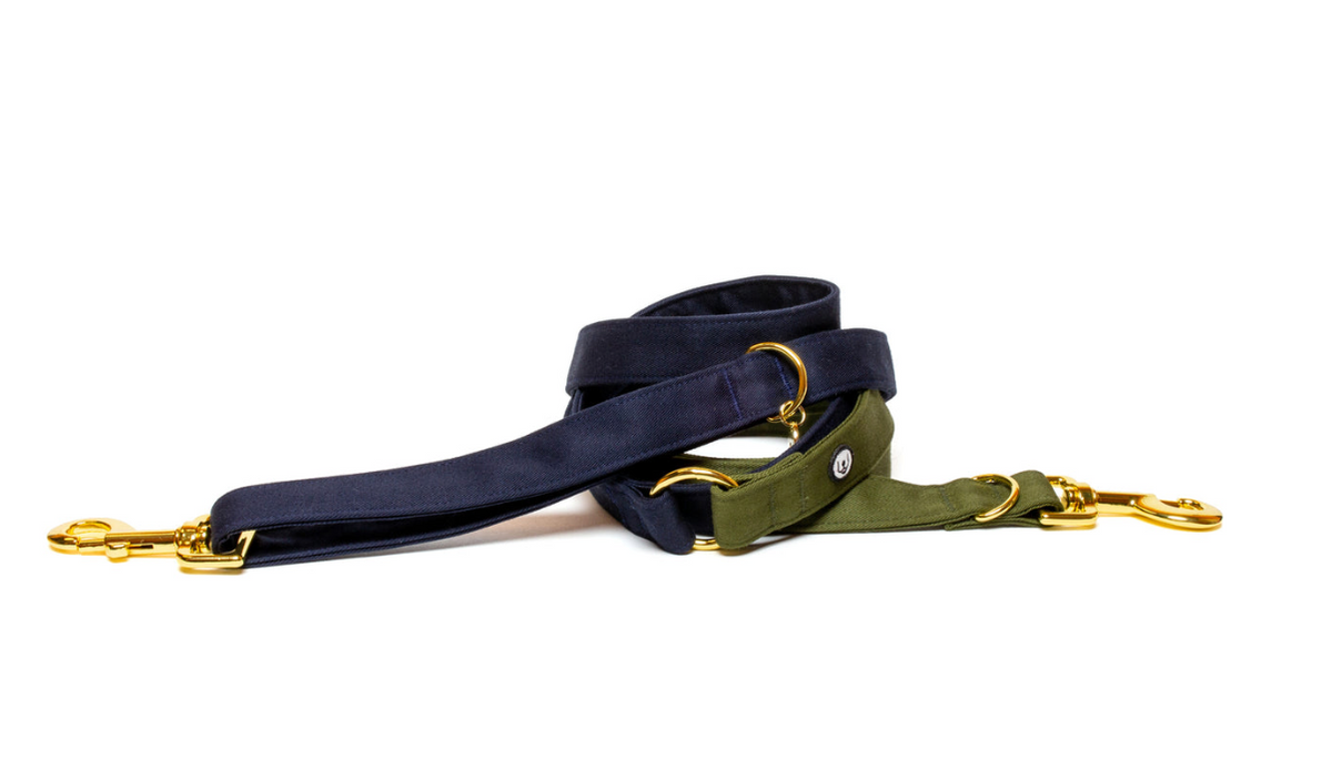 Navy-olive leash