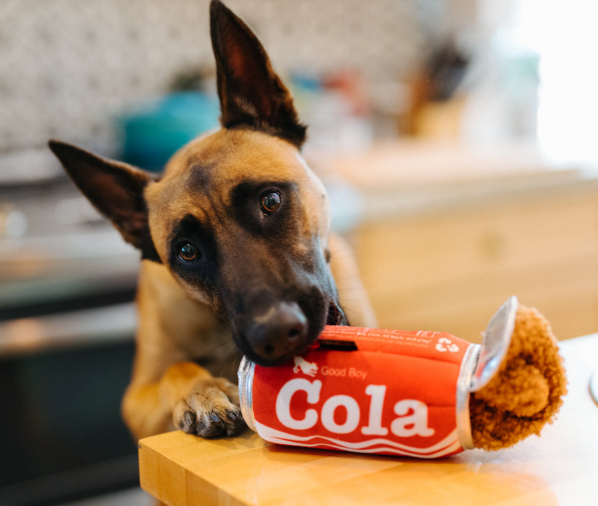 Guter Junge Cola