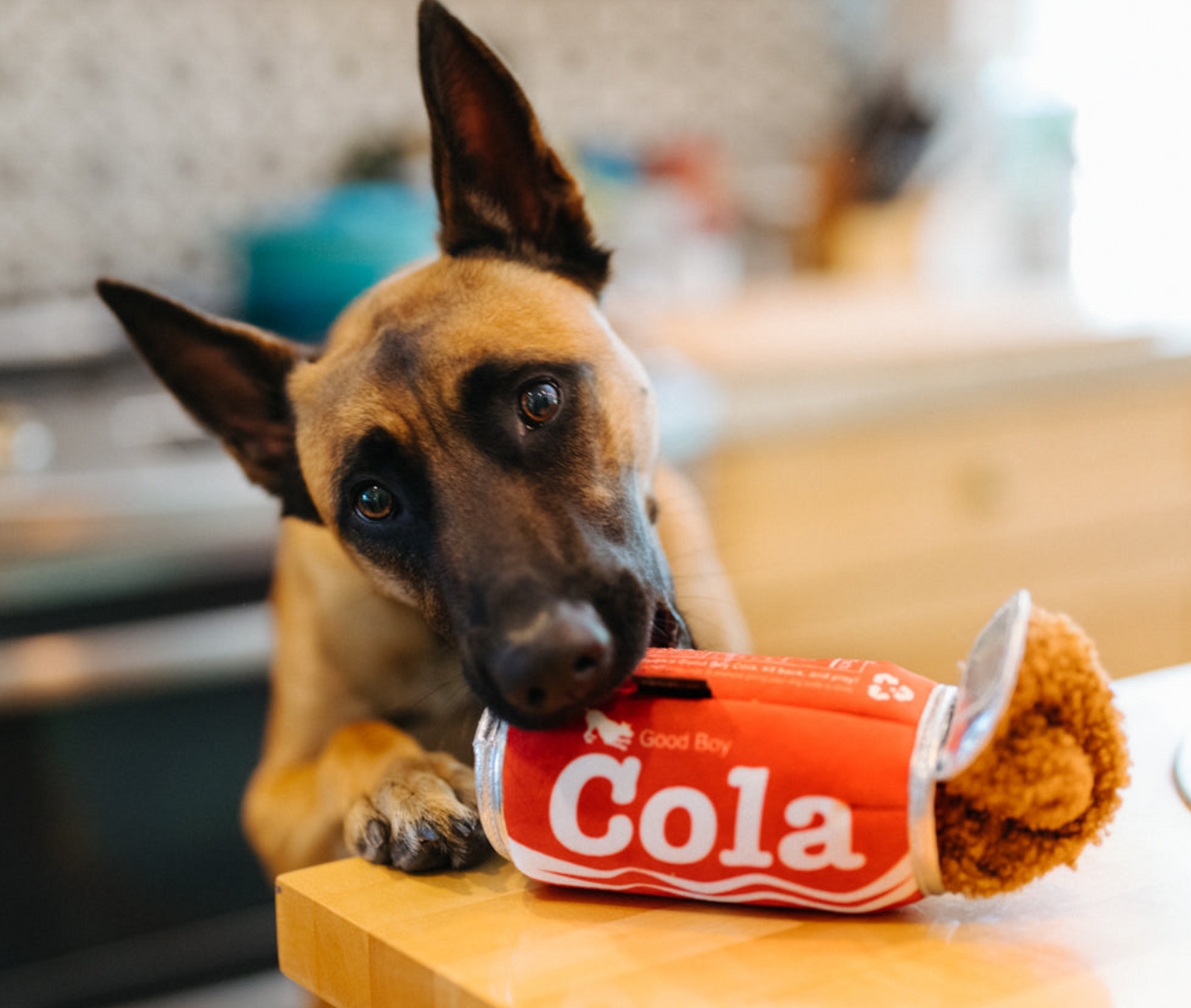 Good Boy Cola