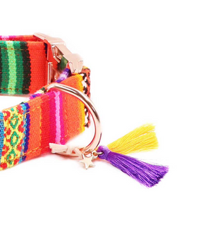 LaaVida neon orange collar