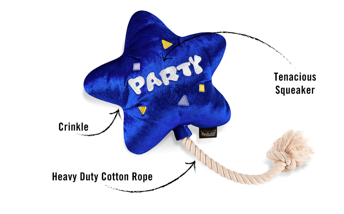Party balloon