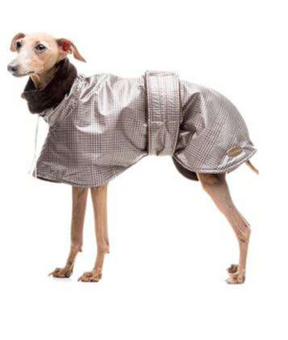 Sherlock Holmes Italienisch Greyhound/ Whippet