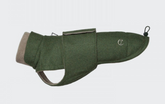 Flannel Green - A Dachshund Special