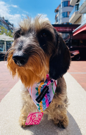 Rosarito bandana