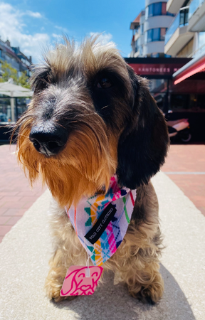 Rosarito Bandana